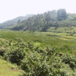 Environment Cooperatives build alternative livelihoods in protected areas
